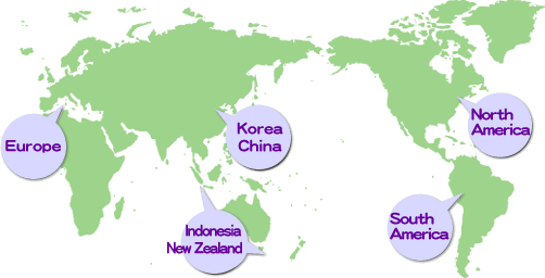 Onsen of the world